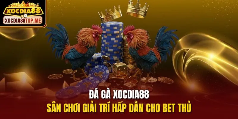 Đá gà xocdia88 - sân chơi giải trí hấp dẫn cho bet thủ